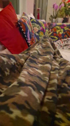 navigante webcam model stream image