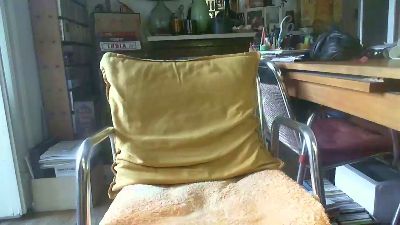 felinoid1 webcam model stream image