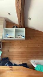 Zelda251 webcam model stream image