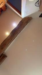 Zelda251 webcam model stream image