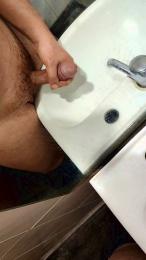 Pijapija8_Porin webcam model stream image