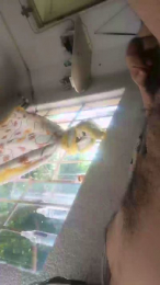 josemanu3335 webcam model stream image