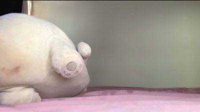 Tetasgrandes_ webcam model stream image