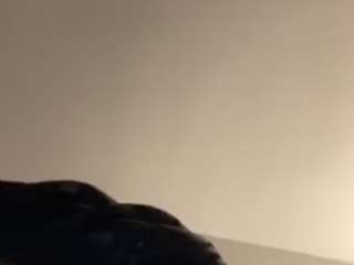 thickshyt webcam model stream image