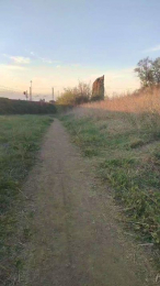 liquify webcam model stream image