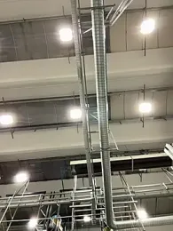 danicohoney webcam stripchat model stream image