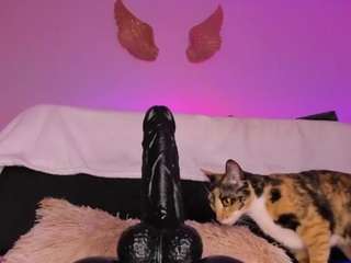 muriel-belov webcam model stream image