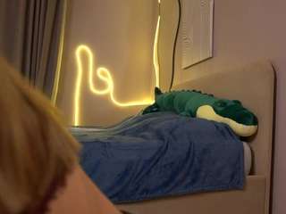 spring-day webcam model stream image