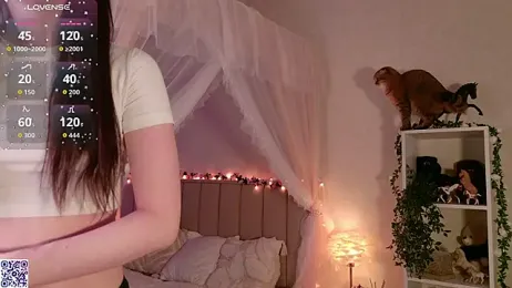 LeraKit webcam model stream image