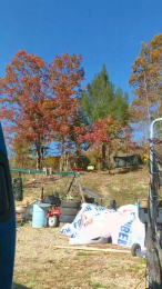 watch4fun4 webcam model stream image