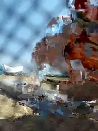 Alley87 webcam model stream image