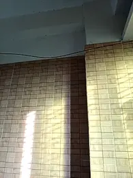 Tanisha-1 webcam model stream image