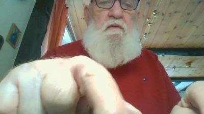 legov4 webcam model stream image