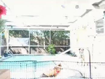 yoursecretgirlfriend963 webcam model stream image