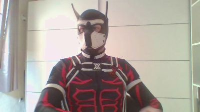 GelberBengel2ES webcam cam4 model stream image