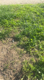 Assetge webcam cam4 model stream image