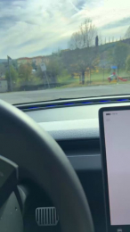 Assetge webcam model stream image