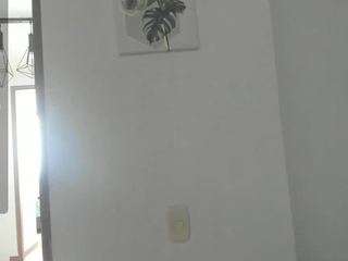 sweetvane webcam model stream image