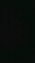 Okta4 webcam model stream image