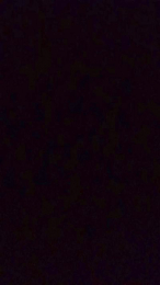 Okta4 webcam model stream image