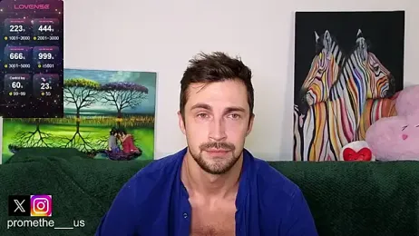 Promethe_us webcam model stream image