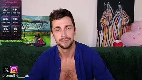 Promethe_us webcam model stream image