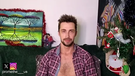 Promethe_us webcam model stream image