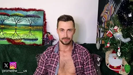 Promethe_us webcam model stream image