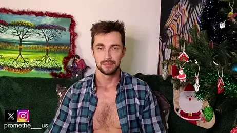 Promethe_us webcam model stream image