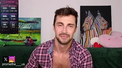 Promethe_us webcam model stream image