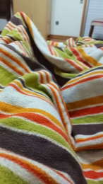 Zuca_gostoso webcam model stream image