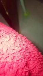 Cassandra64 webcam model stream image