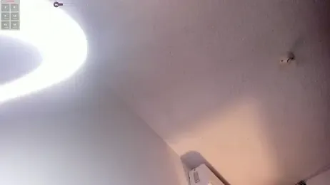 transilbriana webcam model stream image