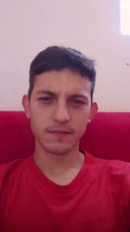 SDOlyver webcam model stream image