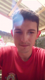 SDOlyver webcam model stream image