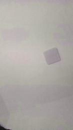 Rosalinda webcam model stream image
