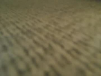 niceguyandrew webcam model stream image