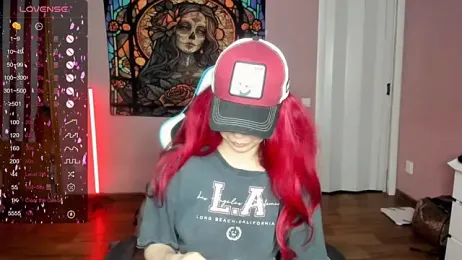 Project_hisoka webcam model stream image