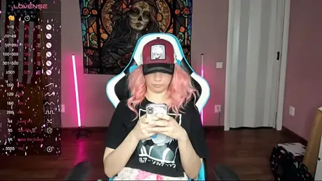 Project_hisoka webcam model stream image