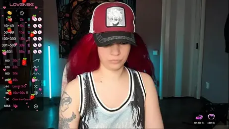 Project_hisoka webcam model stream image