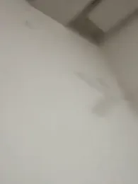 shivani0999 webcam model stream image