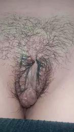 Lapantera27 webcam model stream image