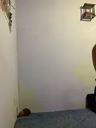 Ema_L1 webcam model stream image