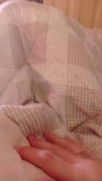 niky193 webcam model stream image