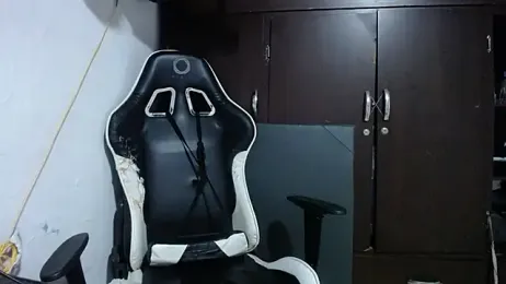 bulma_milk webcam model stream image