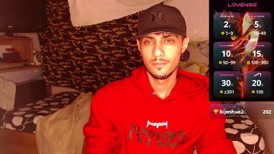 codenok webcam model stream image