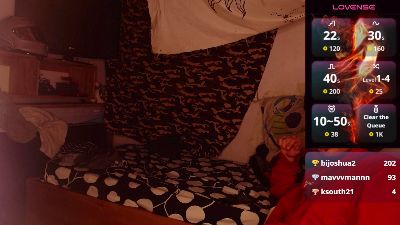 codenok webcam model stream image