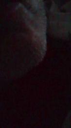 Spritz55 webcam cam4 model stream image