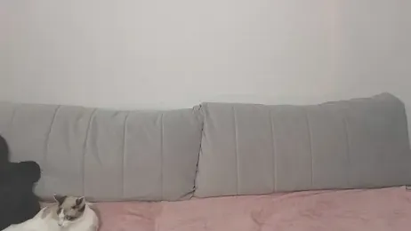 VikiSea webcam model stream image