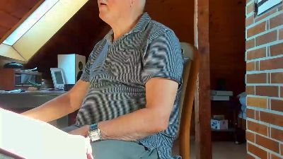 heinz2 webcam model stream image